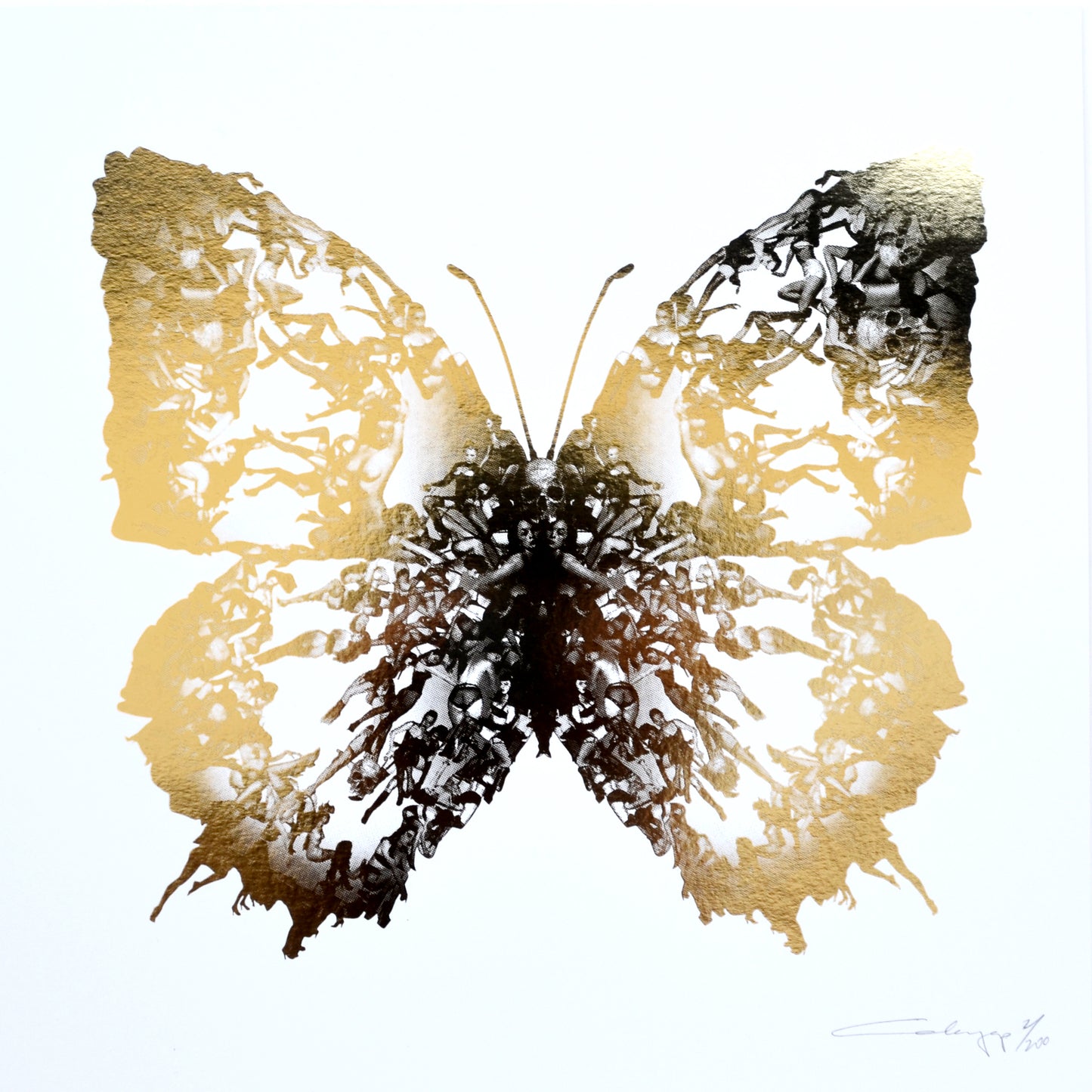 Cassandra-Yap-Deliverance-White-Gold-Foil-Limited-Edition-Butterfly