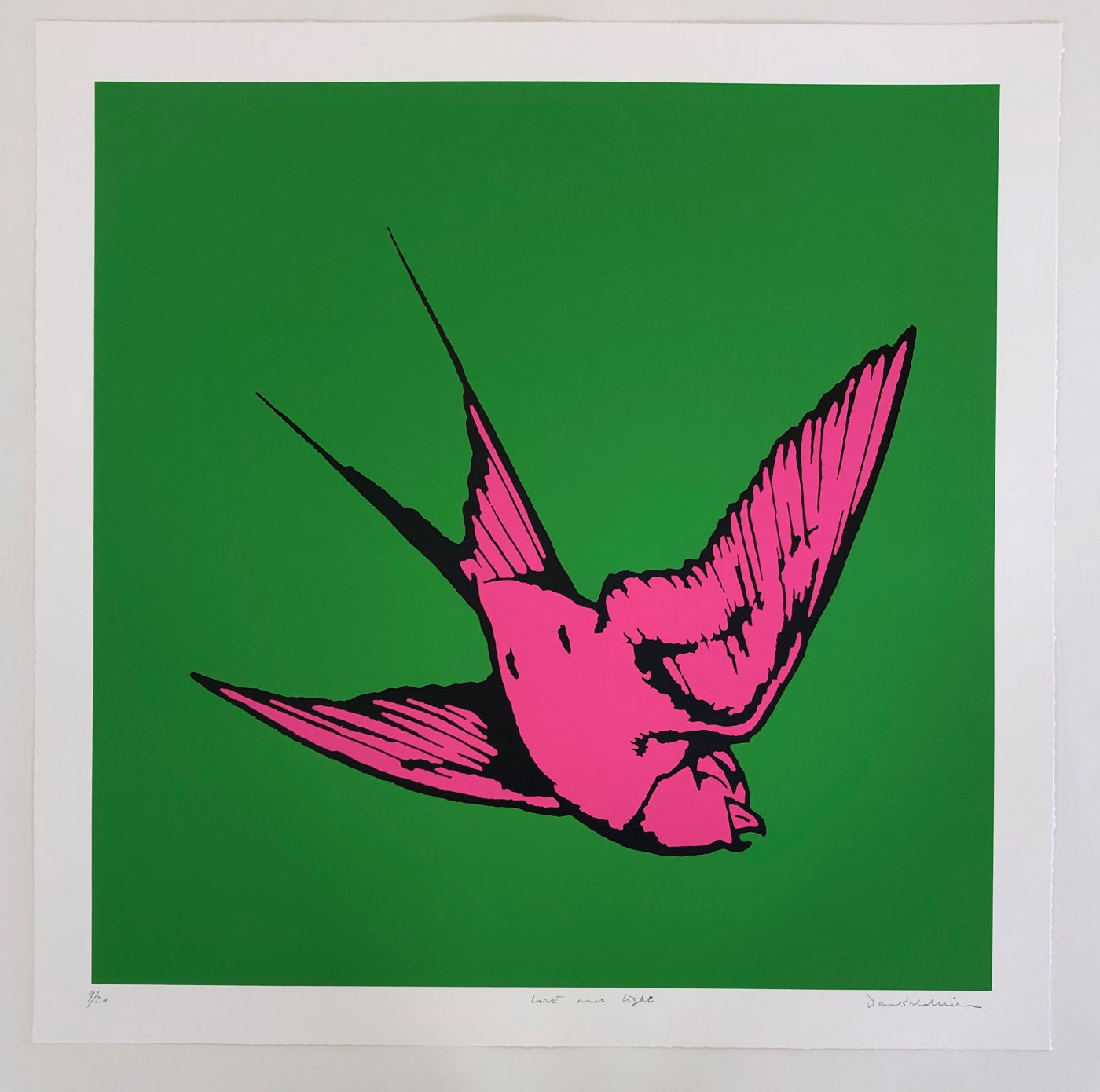 Dan Baldwin | Love and Light - Green and Pink